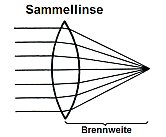 Sammellinse